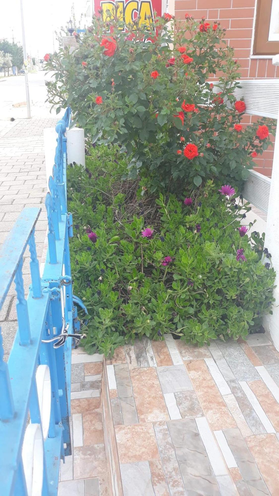 Vila Shuka Ksamil Саранда Екстер'єр фото